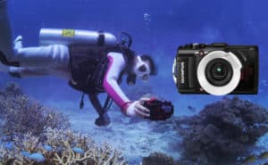 Olympus tg-4: Mejor cámara de fotos acuática barata y otros modelos sumergibles