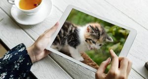 La mejor tablet barata Android por menos de 200€ para el año 2021: imagen de portada con gatito