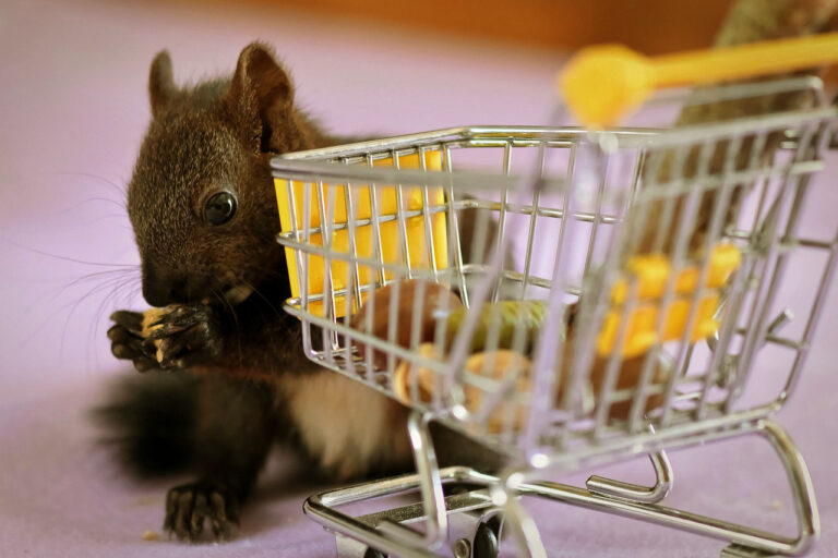 Cómo utilizar los codigos de descuento de las tiendas online