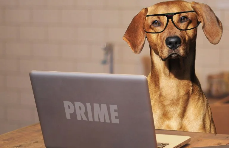 Prime Day Amazon se celebra pronto